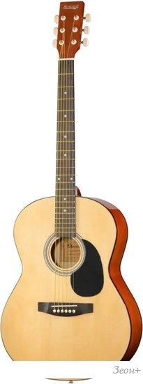 Акустическая гитара Homage LF-3900