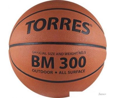  Torres BM300 (5 )