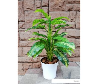 Искусственное растение Forgarden Диффенбахия в белом горшке BN10741