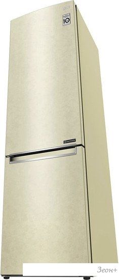 Холодильник LG DoorCooling+ GC-B509SECL