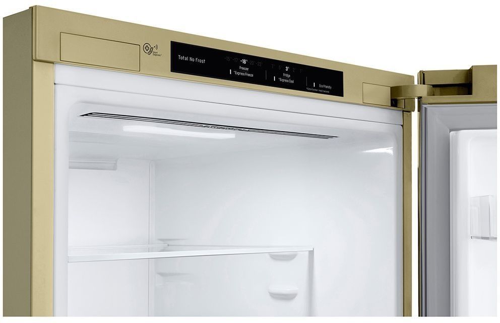 Холодильник LG DoorCooling+ GC-B509SECL