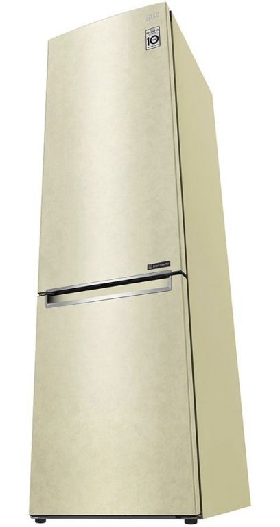 Холодильник LG DoorCooling+ GC-B509SECL
