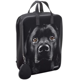   Erich Krause StreetLine 16L Black Dog 60343