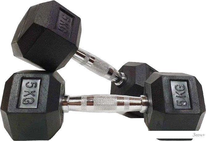 Набор гантелей VictoryFit VF-H050 2x5 кг