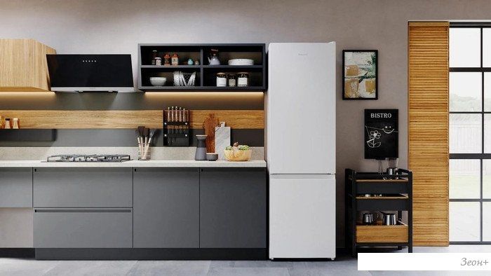 Холодильник Hotpoint HT 4200 W