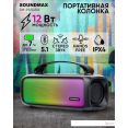 Беспроводная колонка Soundmax SM-PS5021B (черный)