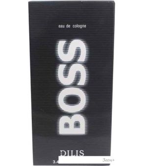 Dilis Parfum Boss EdC (100 )