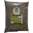  VDV Seeds Sport-Ground 2.5 