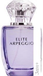 Dilis Parfum Elite Arpeggio EdT 100 