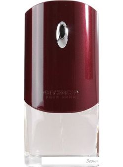 Givenchy Pour Homme EdT (100 )