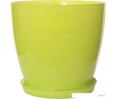  NiNaGlass  4 4840157507