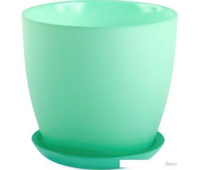  NiNaGlass  4 4840157229