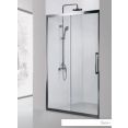 Душевая дверь Aquanet Delta NPE6121 160 (прозрачное стекло)