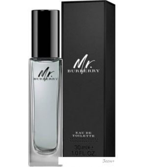Burberry Mr. Burberry EdT (30 )