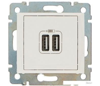  USB Legrand Valena 694370