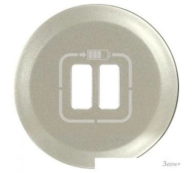   USB  Legrand Celiane 0 685 56