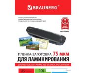    BRAUBERG Brauberg 5 75  100  530898 (, )