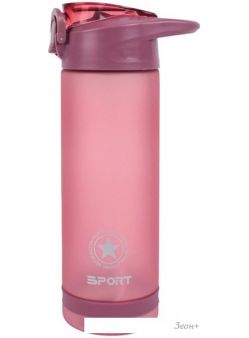 Бутылка для воды Darvish DV-H-1605-2 750мл (розовый)