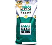  VDV Seeds Universal 15 