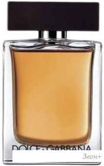 Dolce&Gabbana The One For Men EdT (100 )