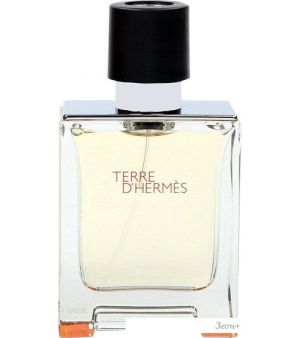 Hermes Terre d'Hermes EdT (50 )