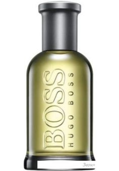   Hugo Boss 6 Bottled EdT (100 )