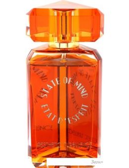 State of Mind Aesthetic Turbulence EdP (100 )