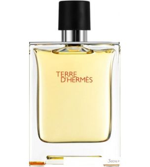 Hermes Terre d'Hermes EdT (100 )