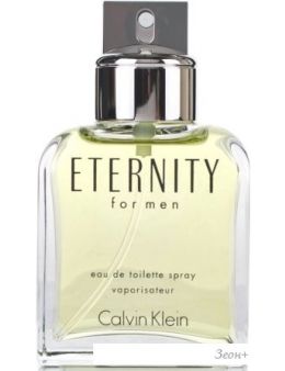 Calvin Klein Eternity For Men EdT (100 )