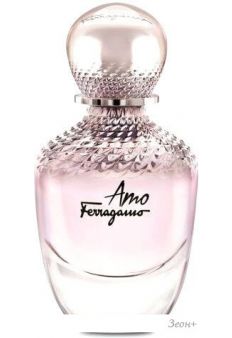   Salvatore Ferragamo Amo Ferragamo EdP (100 )