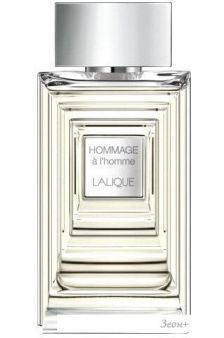   Lalique Hommage A L'homme EdT (100 )