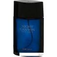   Real Time Night Canyon Men EdT (100 )