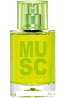   Solinotes Musc EdP (15 )