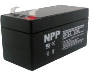    NPP NP 12-1.3 (12/1.3 )