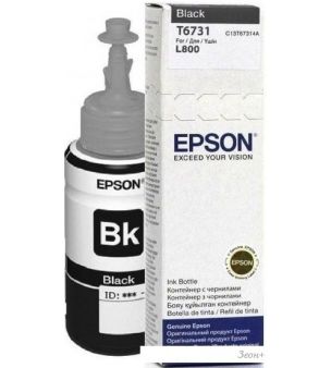  Epson L800 ()