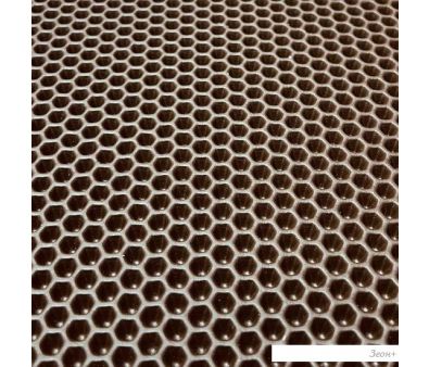 Eva    Eco Cover  255x140 ()