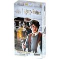 Настольная игра Мир Хобби Гарри Поттер. Оборотное зелье