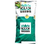  VDV Seeds Sport- 15 