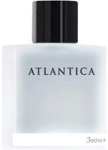 Dilis Parfum Atlantica Silver Moon EdT 100 