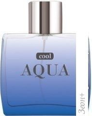 Dilis Parfum Cool Aqua EdT 100 