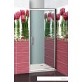 Душевая дверь Roltechnik Proxima Line PXDO1N/80 (прозрачная) [525-8000000-00-02]