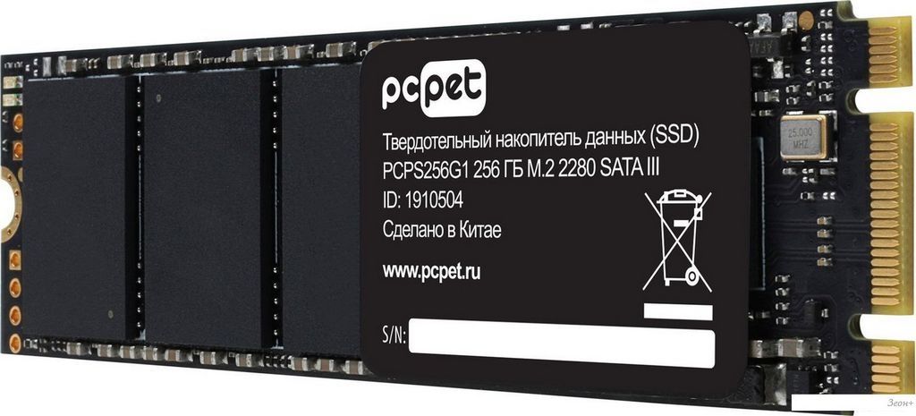SSD PC Pet 256GB PCPS256G1