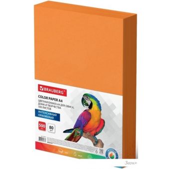   BRAUBERG 4 80 /2 500  115217 ()