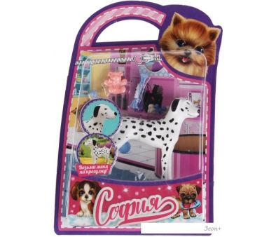     PET-DDA-S-BB