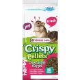    Versele Laga Crispy Pellets Chinchilla & Degu 1 