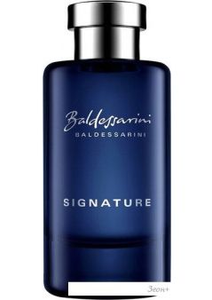   Baldessarini Signature EdT (90 )