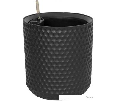  Ellastik Plast Ola Dom Kerama (12, )
