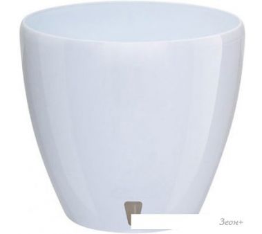  Santino Deco Twin 2.5  ()