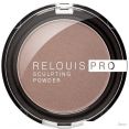  Relouis Pro Sculpting Powder Universal 01