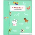 Мозаика/пазл Darvish Tangram SR-T-2394